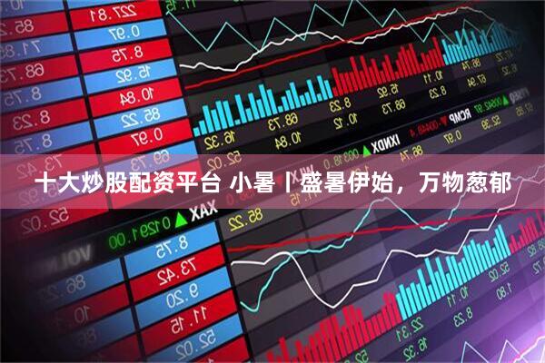 十大炒股配资平台 小暑丨盛暑伊始，万物葱郁